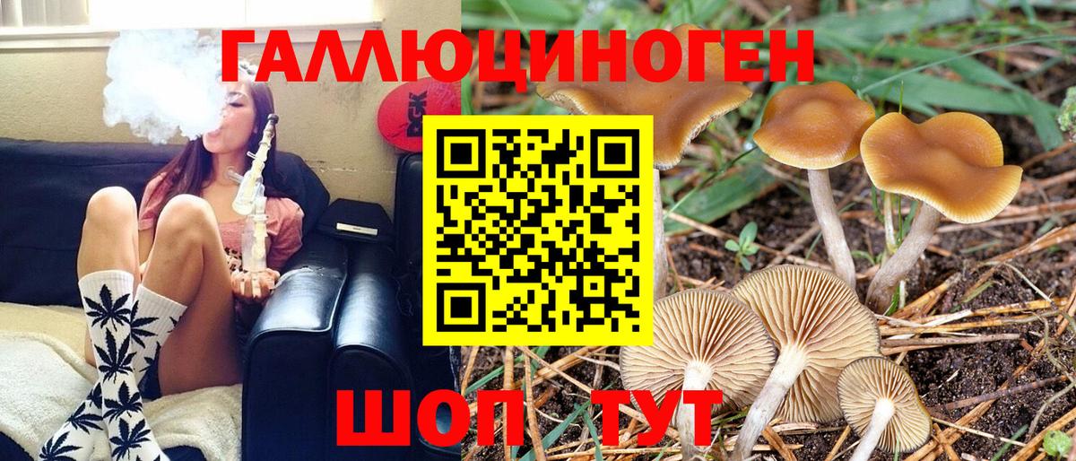 Псилоцибиновые грибы мицелий  Псилоцибиновые грибы MAGIC MUSHROOMS  Вход с VPN  Кудрово 